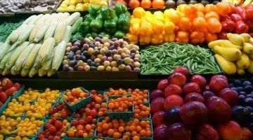 أسعار الخضروات والفاكهة اليوم الاثنين 15 يونيو 2026